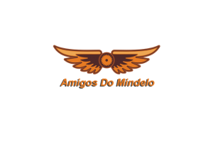 steampunk-wings-logo